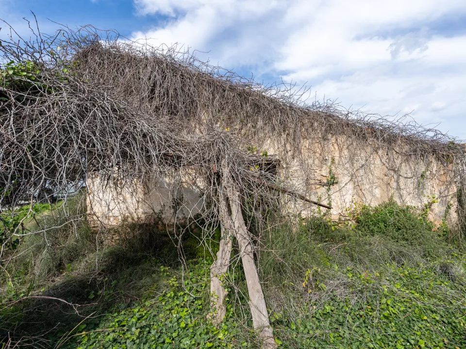 Finca i Tortosa, Tarragona - bilde 4