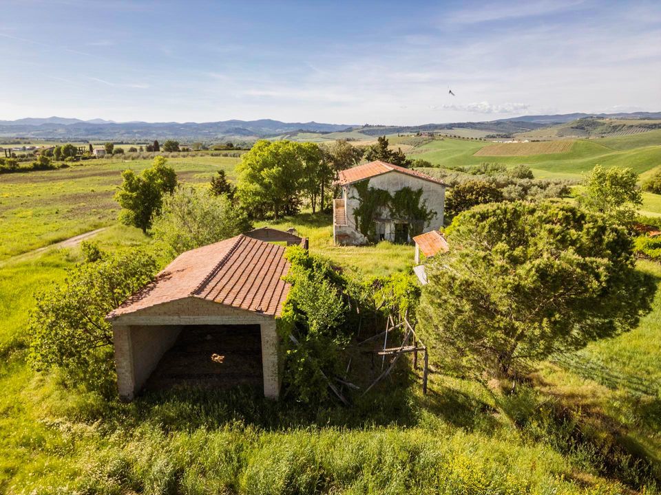 Maatalo Cinigianossa, Grosseto - kuva 4