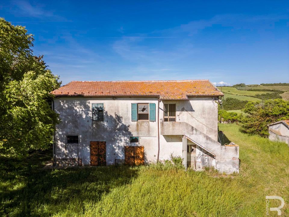 Maatalo Cinigianossa, Grosseto - kuva 2