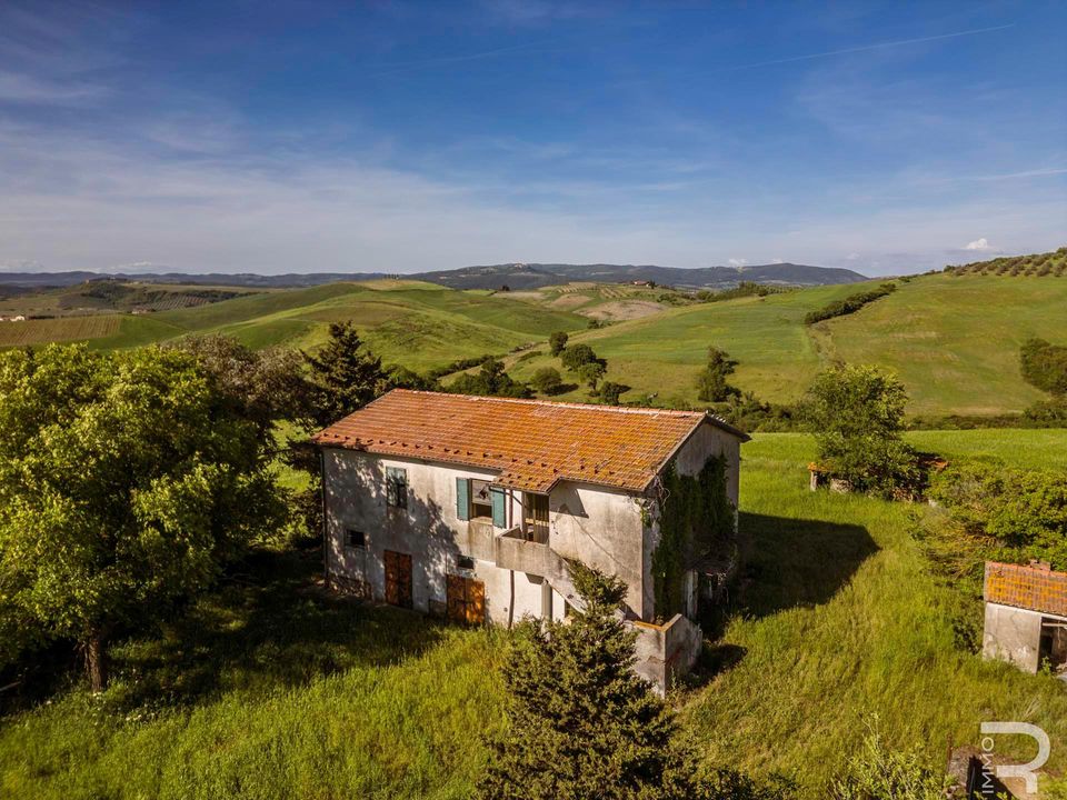 Maatalo Cinigianossa, Grosseto - kuva 1