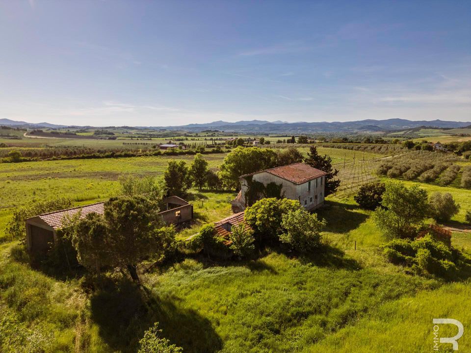 Maatalo Cinigianossa, Grosseto - kuva 5