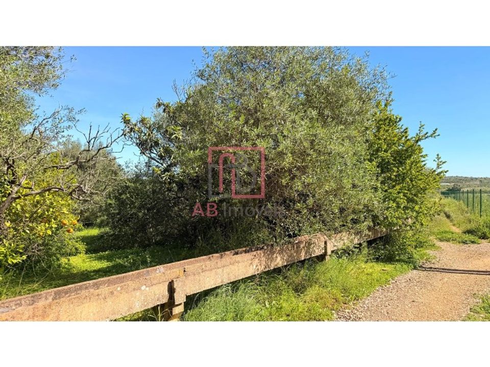 Helårsgrund i Silves, Faro - foto 2