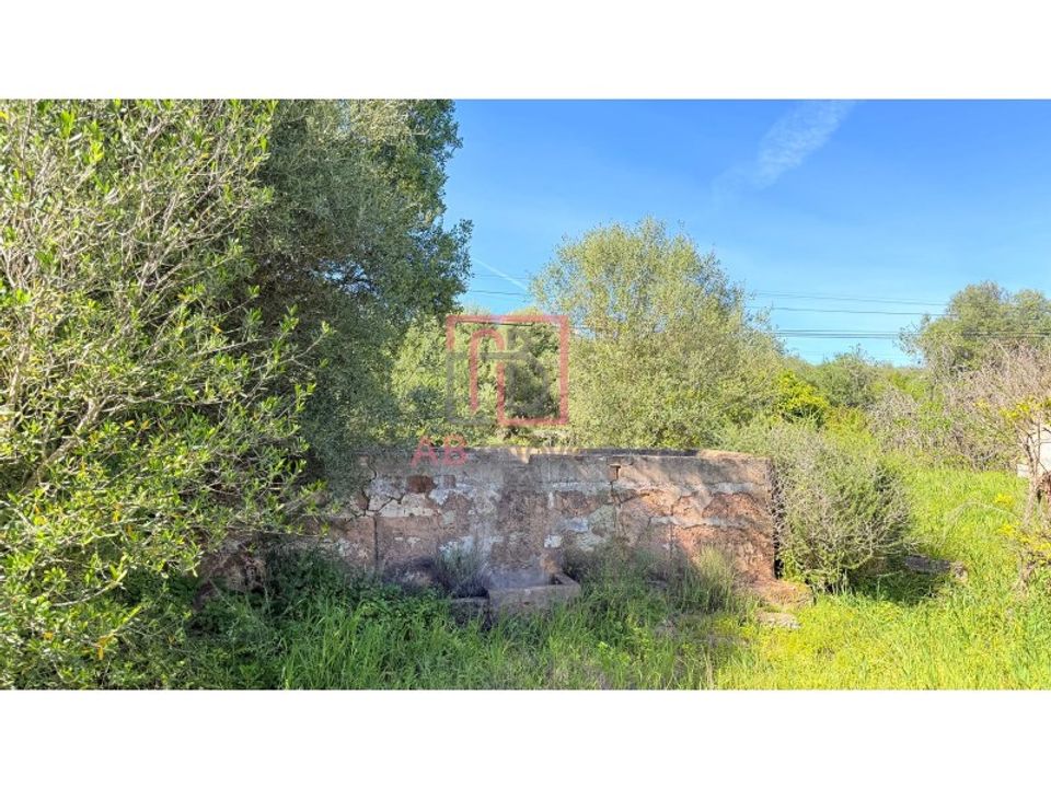 Helårsgrund i Silves, Faro - foto 5