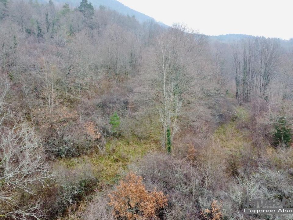 Helårsgrund i Saint-Dié-des-Vosges, Vosges - foto 1