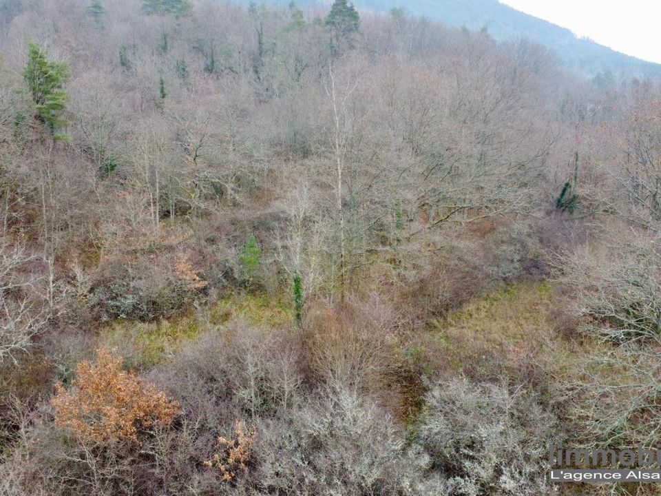 Helårsgrund i Saint-Dié-des-Vosges, Vosges - foto 2