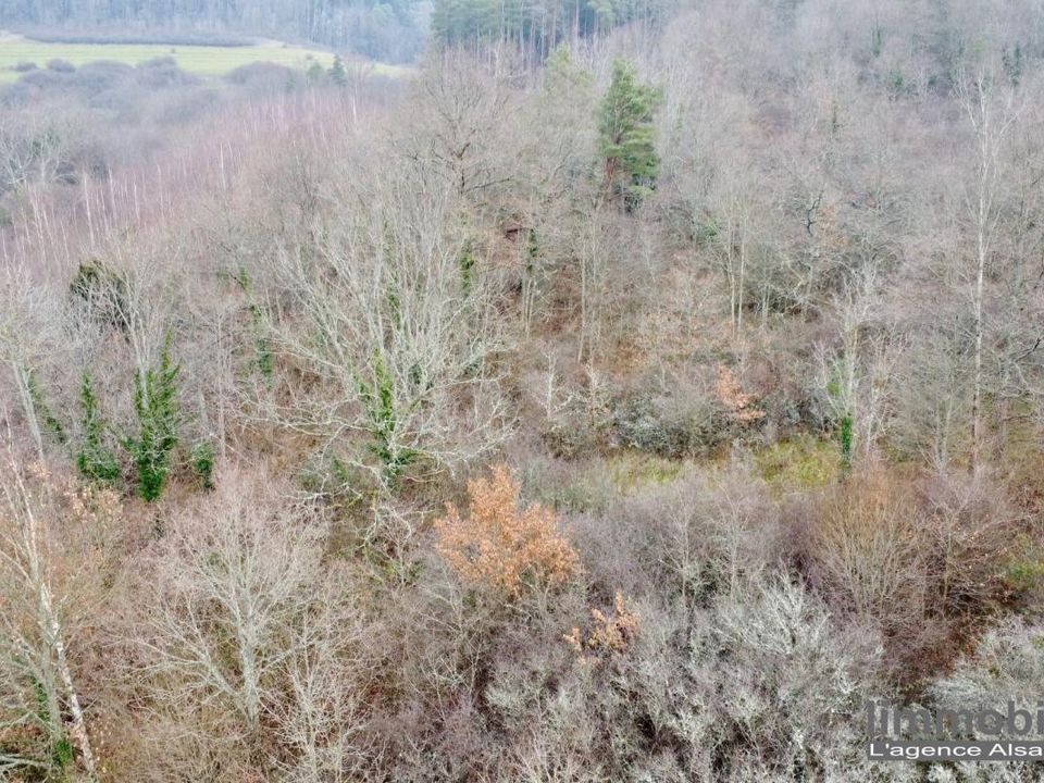 Helårsgrund i Saint-Dié-des-Vosges, Vosges - foto 3