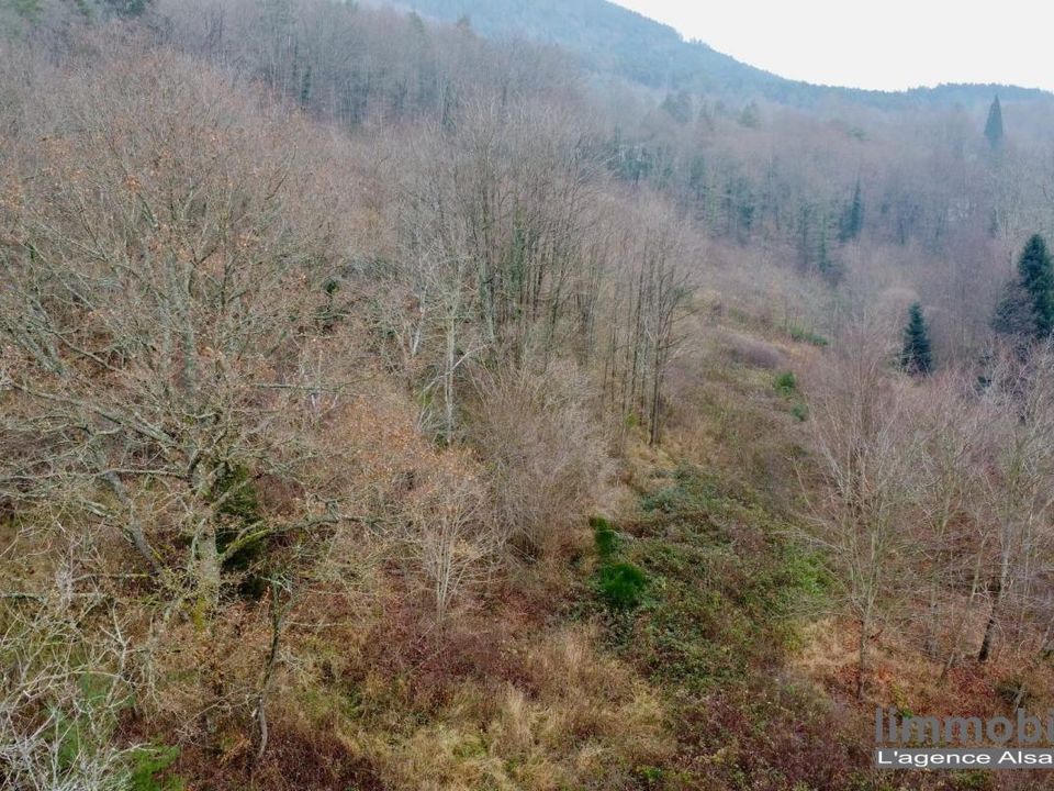 Helårsgrund i Saint-Dié-des-Vosges, Vosges - foto 4