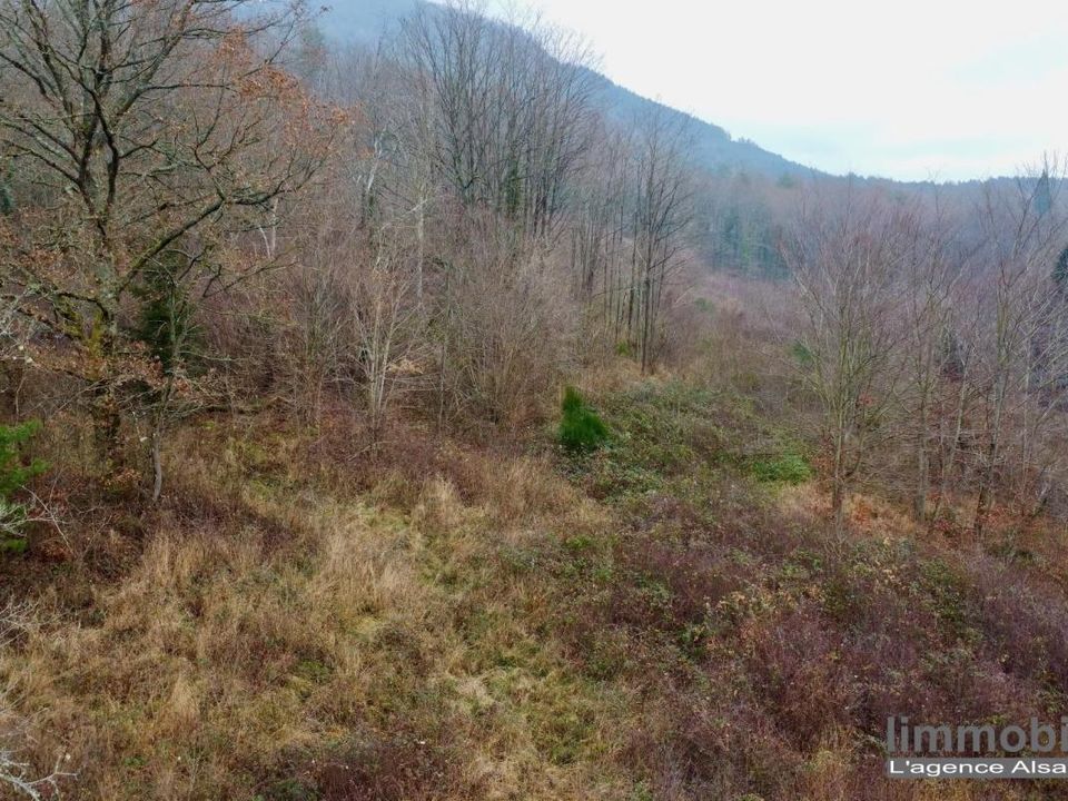 Helårsgrund i Saint-Dié-des-Vosges, Vosges - foto 5