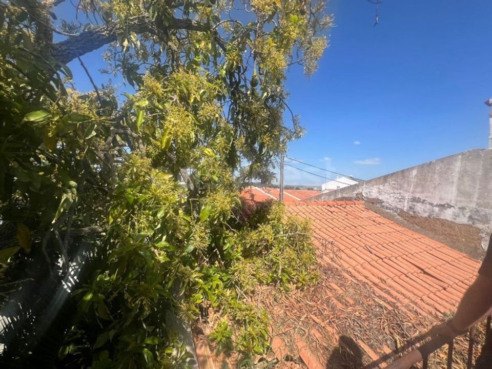 Landejendom i Beja, Beja - foto 3