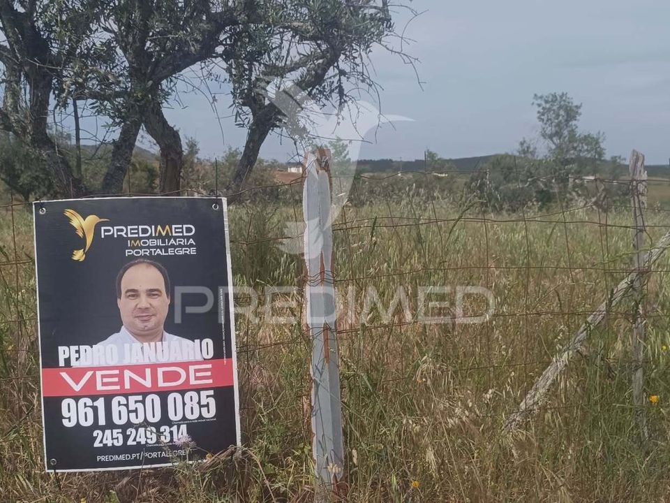 Helårsgrund i Nisa, Portalegre - foto 1