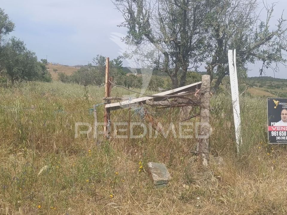 Helårsgrund i Nisa, Portalegre - foto 5