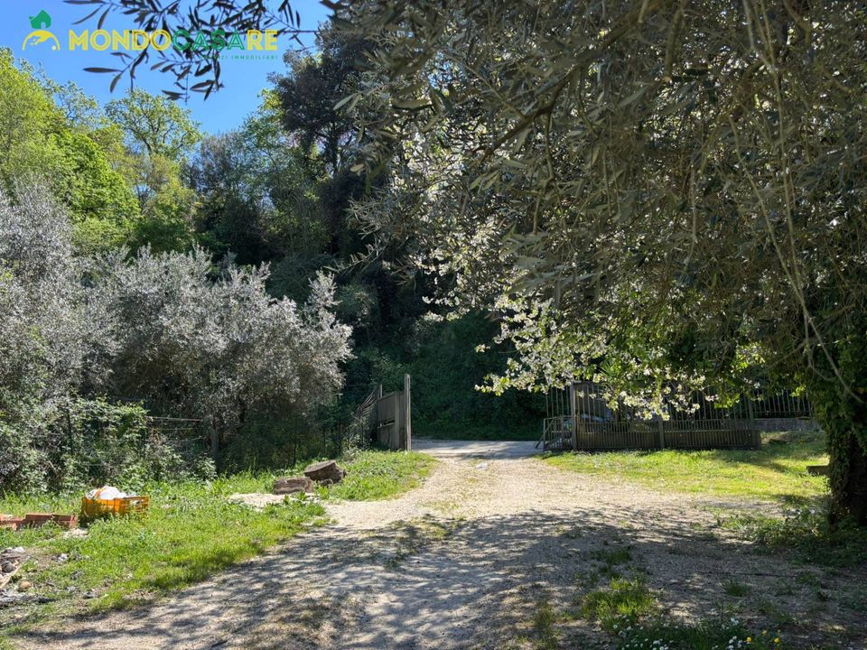 Villa i Fara in Sabina, Rieti - foto 5