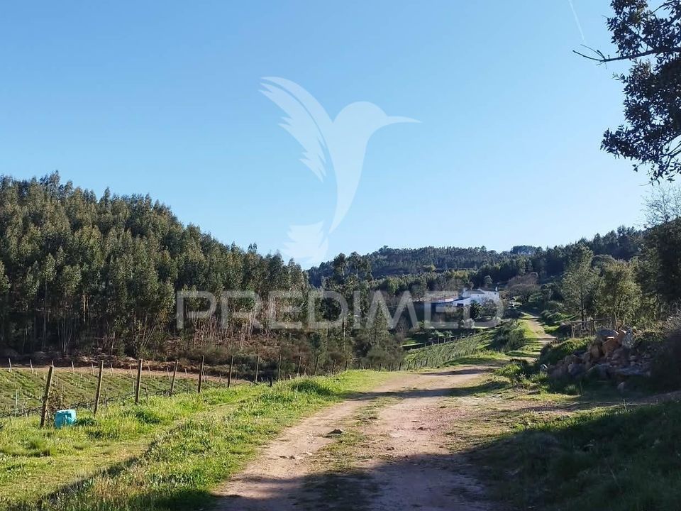Gårdshus i Castelo de Vide, Portalegre - bilde 1
