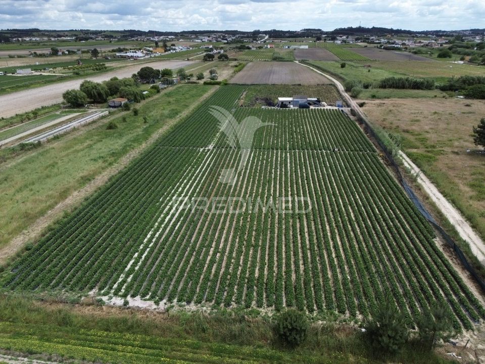 Helårsgrund i Alpiarca, Santarem - foto 1