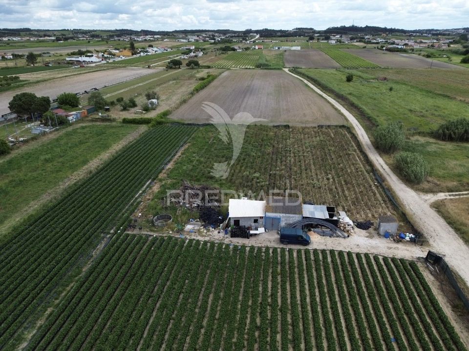 Helårsgrund i Alpiarca, Santarem - foto 2