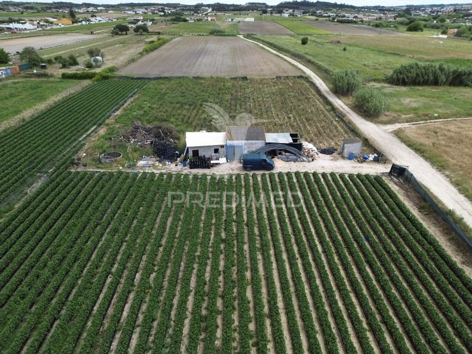 Helårsgrund i Alpiarca, Santarem - foto 3