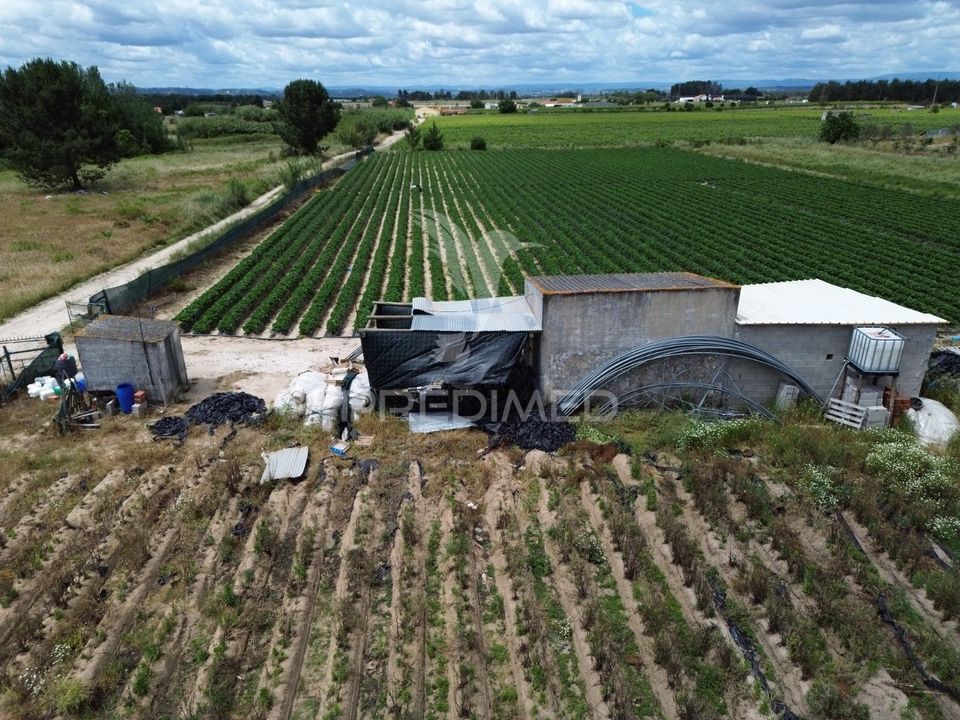 Helårsgrund i Alpiarca, Santarem - foto 4