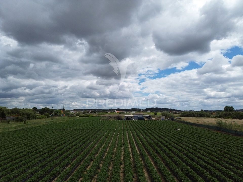 Helårsgrund i Alpiarca, Santarem - foto 5