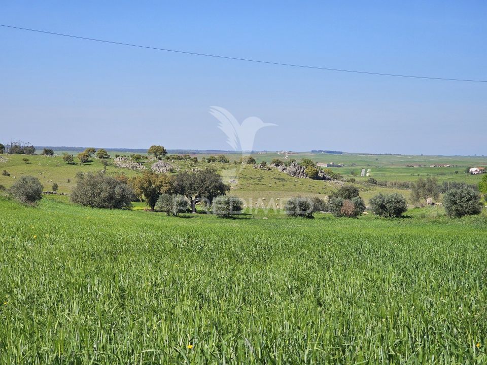 Helårsgrund i Castro Verde, Beja - foto 1