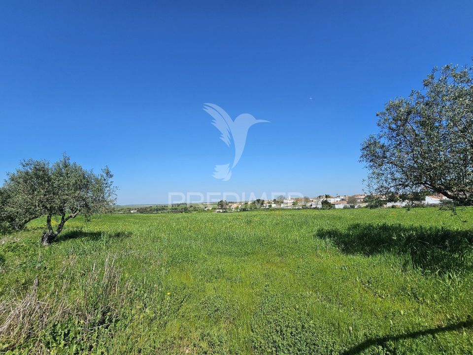 Helårsgrund i Castro Verde, Beja - foto 2