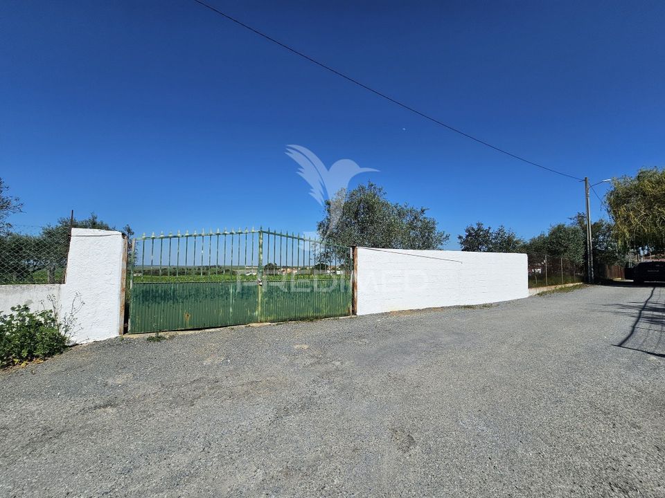 Helårsgrund i Castro Verde, Beja - foto 3