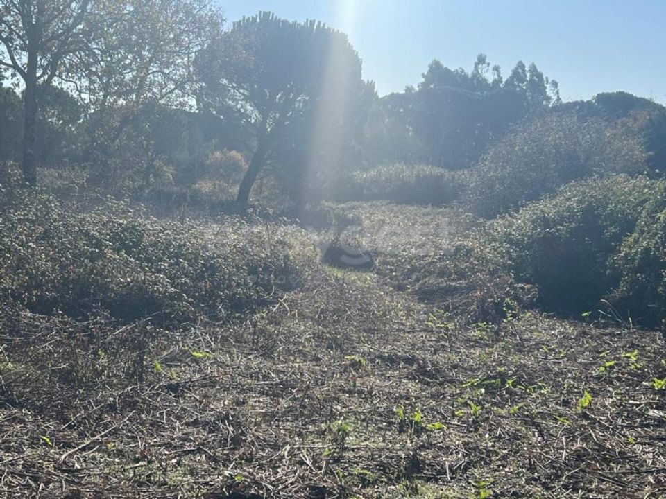 Tomt i Monte Real, Leiria - bilde 2