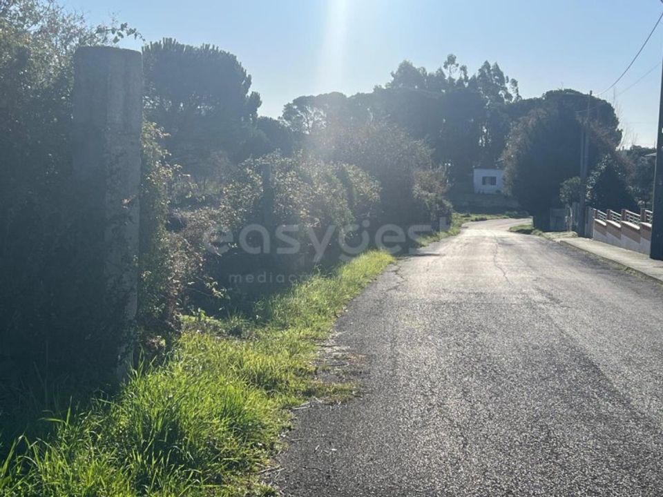Tomt i Monte Real, Leiria - bilde 4