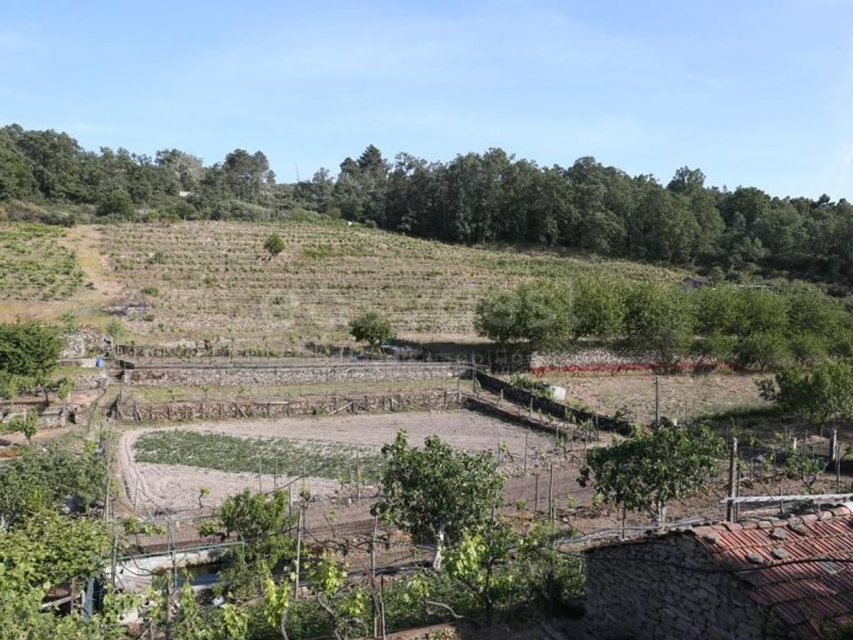 Helårsgrund i Carvicais, Braganca - foto 4