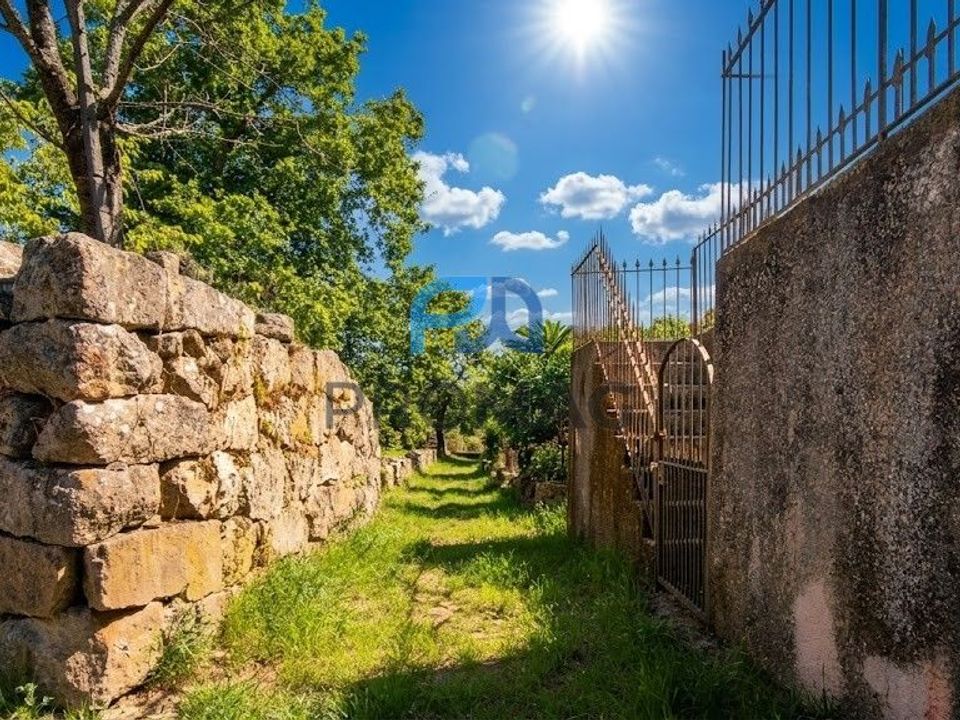 Tomt i Resende, Viseu - bilde 3