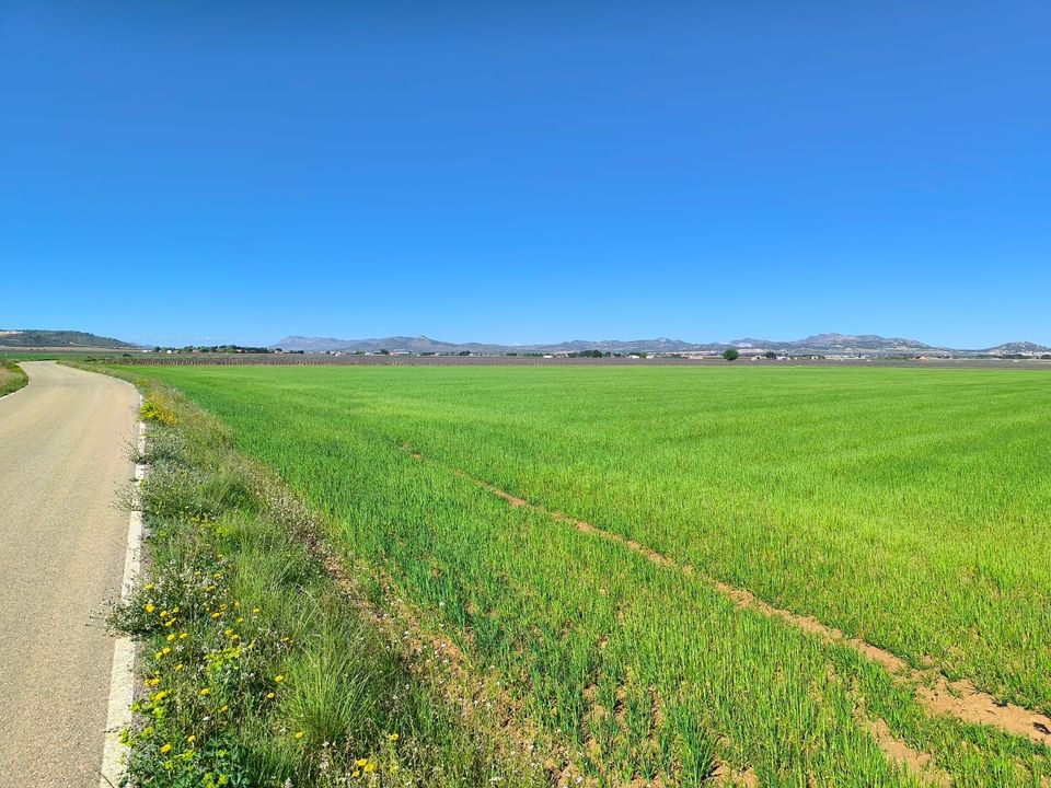 Helårsgrund i Yecla, Murcia - foto 1