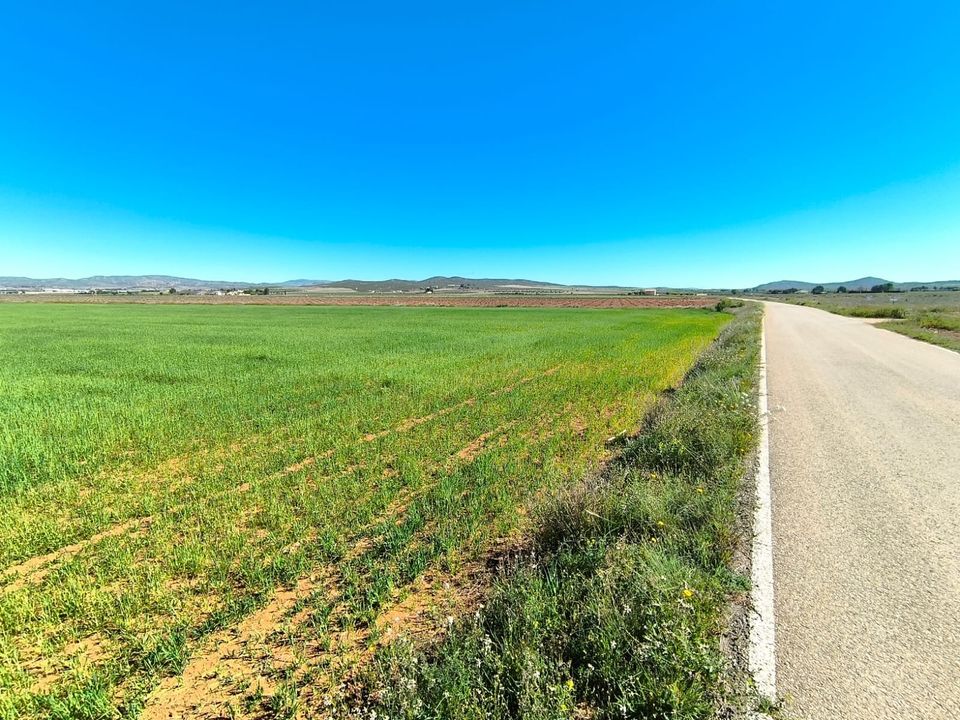 Helårsgrund i Yecla, Murcia - foto 3