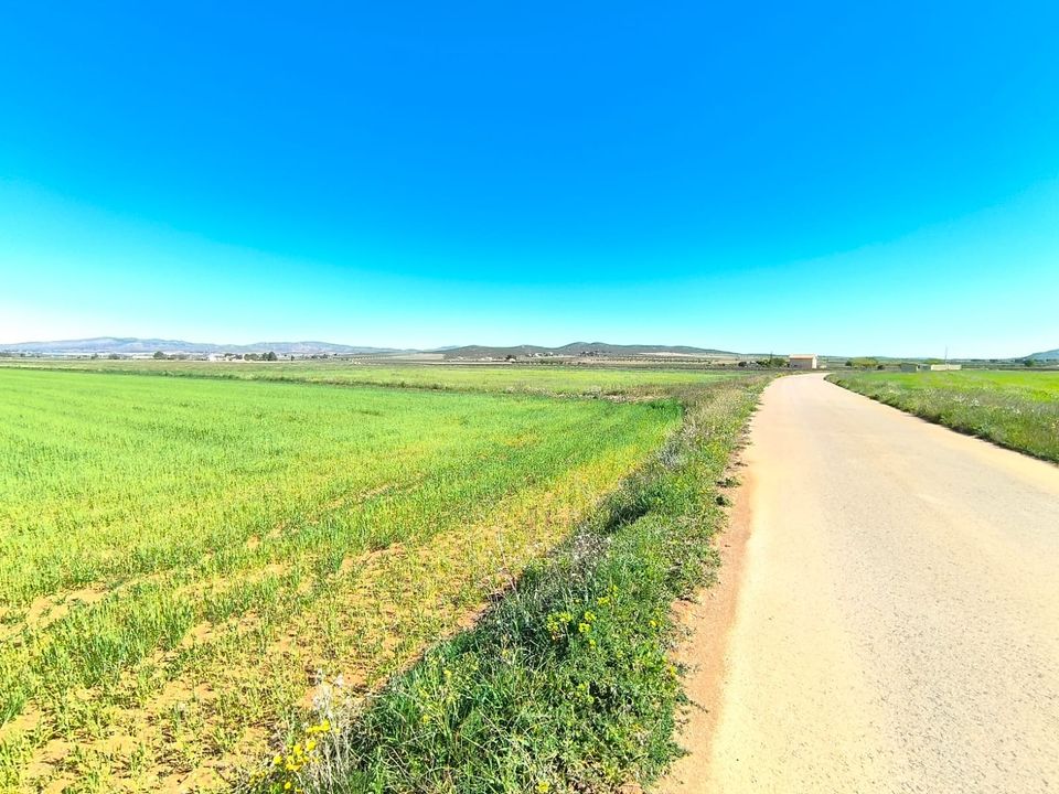 Helårsgrund i Yecla, Murcia - foto 2