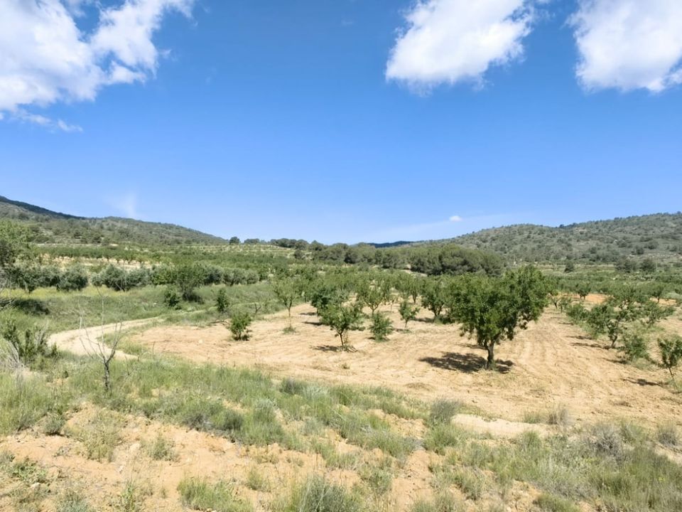 Helårsgrund i Raspay, Murcia - foto 2