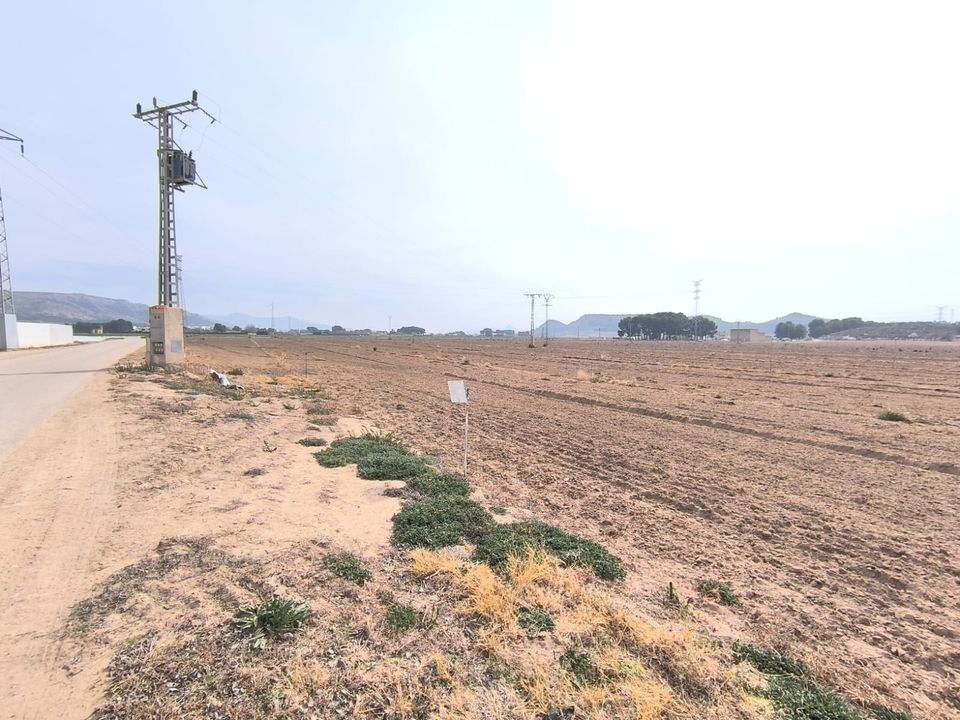 Helårsgrund i Villena, Alicante - foto 2