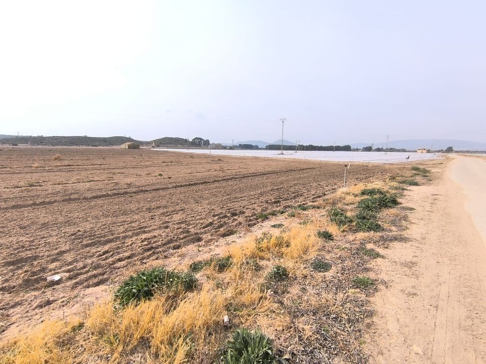 Helårsgrund i Villena, Alicante - foto 3