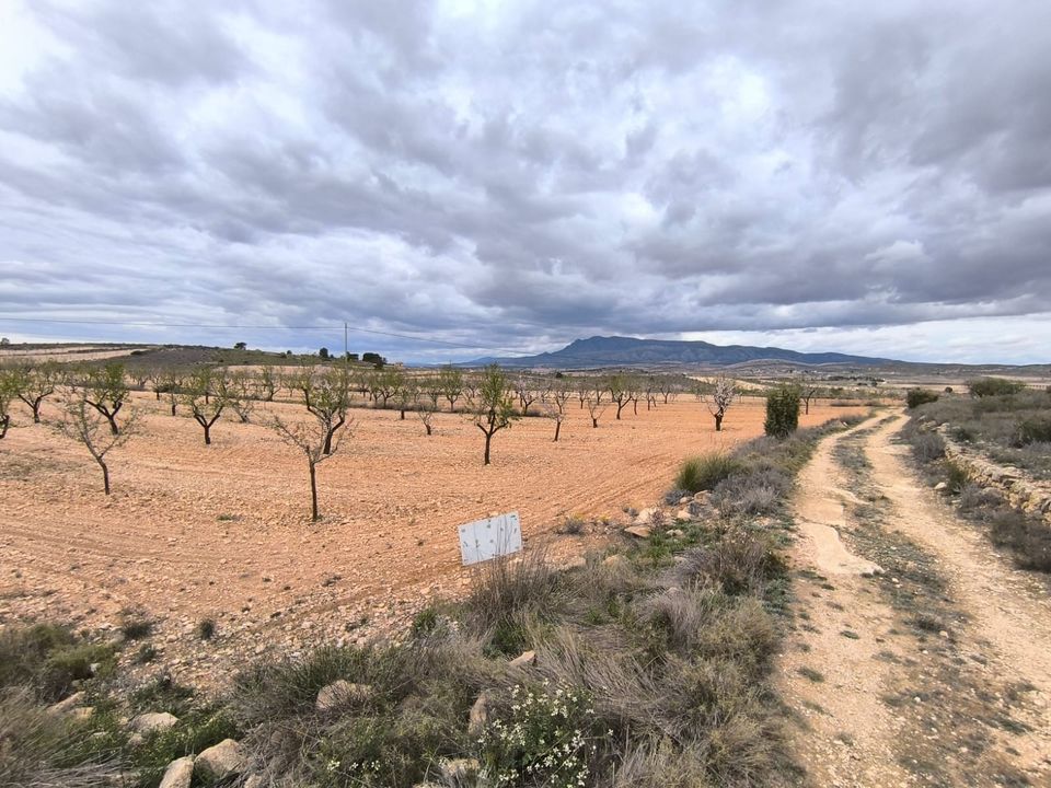 Helårsgrund i Pinoso, Alicante - foto 2