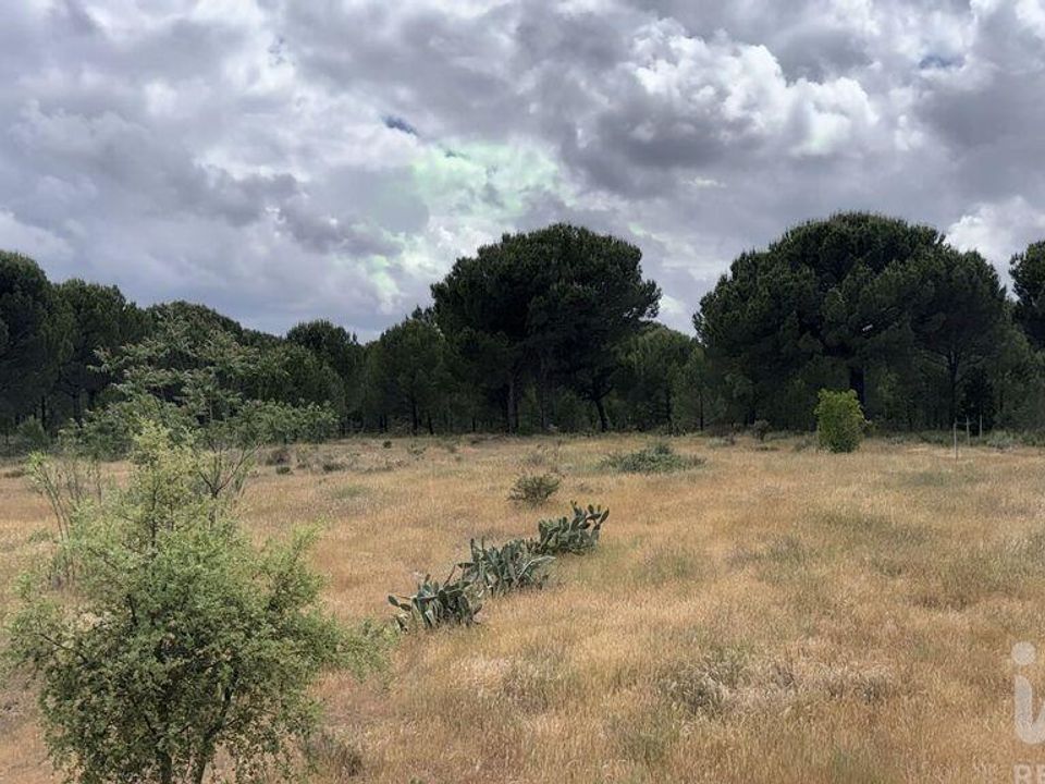 Helårsgrund i Montijo, Setubal - foto 1
