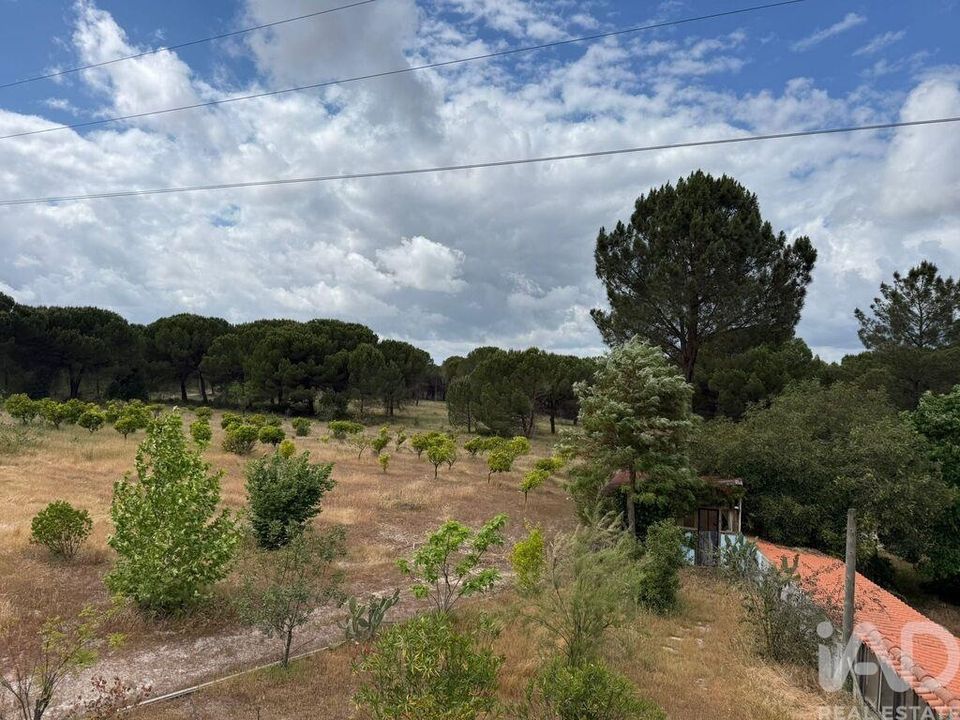 Helårsgrund i Montijo, Setubal - foto 3