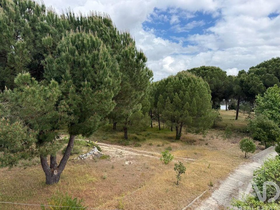 Helårsgrund i Montijo, Setubal - foto 5