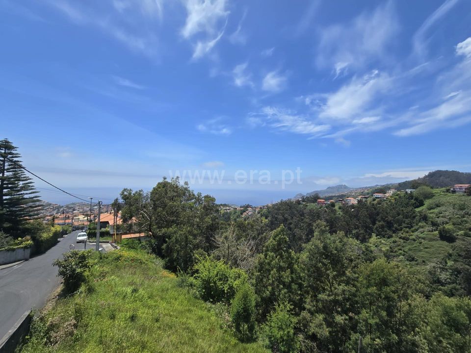 Villa i Funchal, Madeira - foto 5