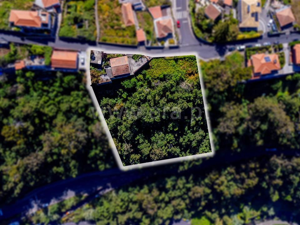 Villa in Funchal, Madeira - foto 2