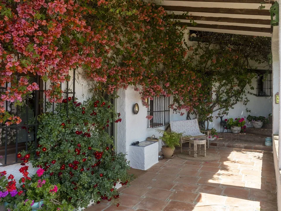 Finca i Alhaurin El Grande, Malaga - foto 3