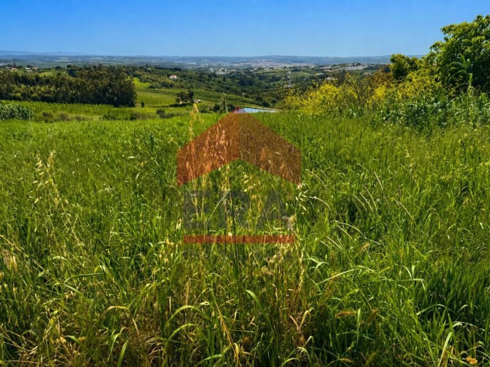 Terra a Carvalhal, Leiria - foto 3