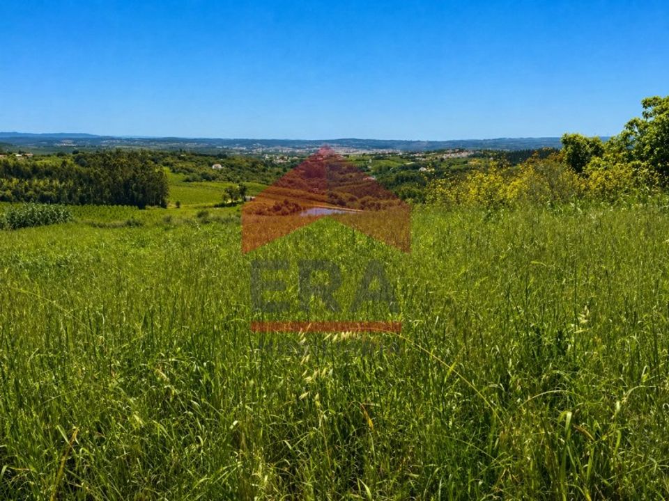 Terra a Carvalhal, Leiria - foto 4