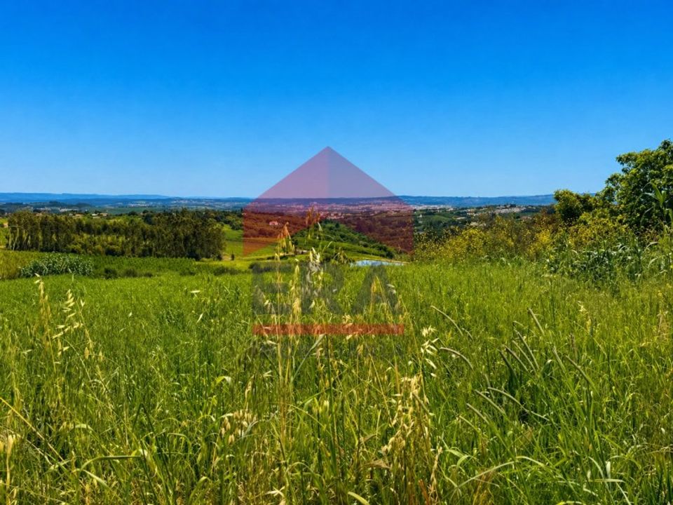 Terra a Carvalhal, Leiria - foto 5