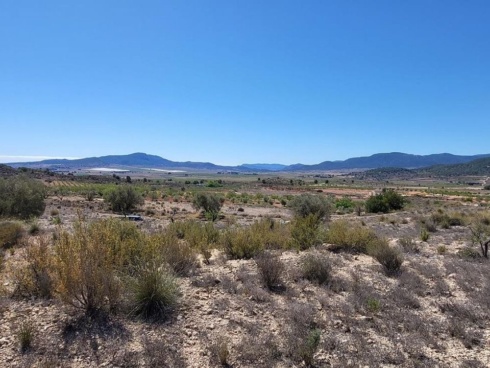 Grond in Monovar, Alicante - foto 1