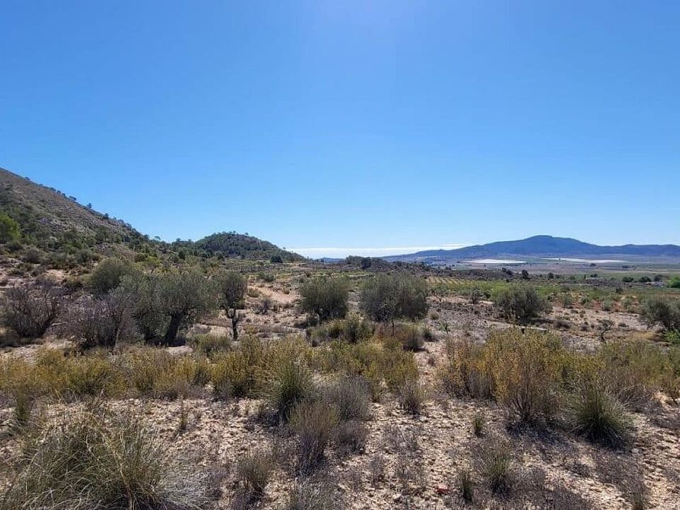 Grond in Monovar, Alicante - foto 4