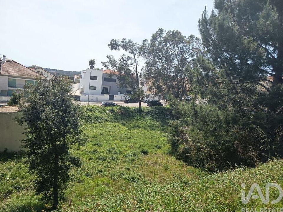 Helårsgrund i Rio Maior, Santarem - foto 2