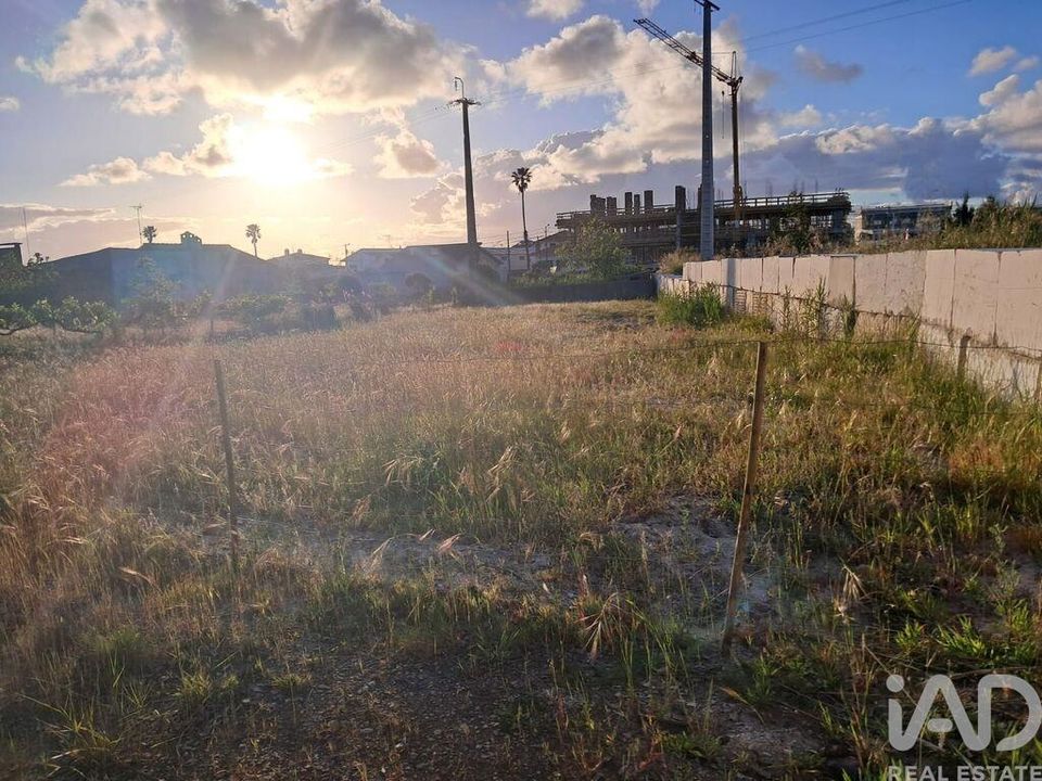 Terra a Alcobaca, Leiria - foto 3