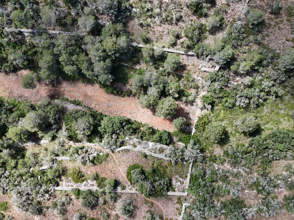 Helårsgrund i Cala Llombards, Mallorca - foto 5